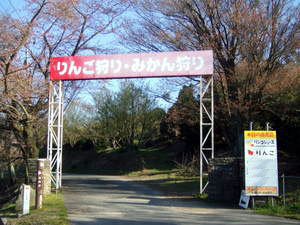110904_01.jpg