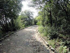 110906_02.jpg