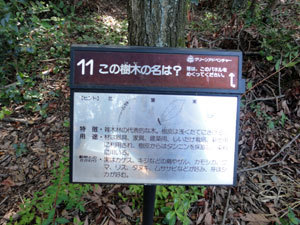 110906_03.jpg