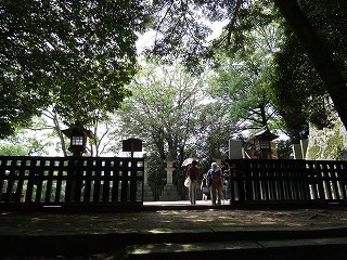 DSC00076.jpg