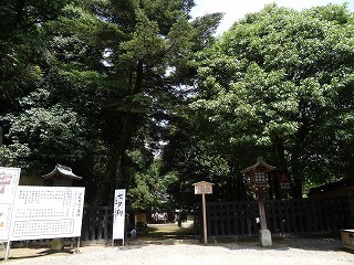 DSC00077.jpg
