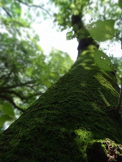 DSC00087.jpg