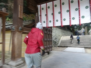 DSC02131.jpg