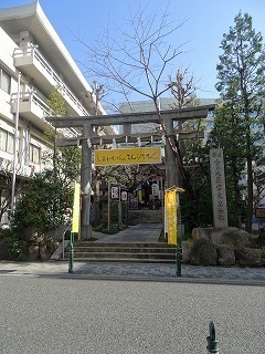 DSC02503.jpg