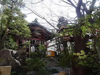 DSC02513.jpg
