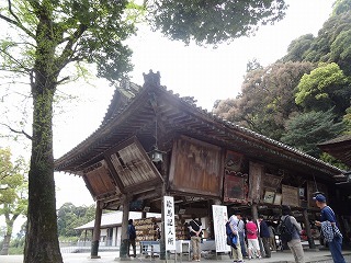DSC03155.jpg