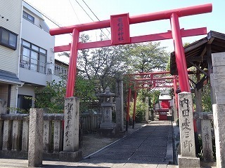DSC07748.jpg