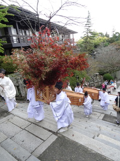 DSC08170.JPG