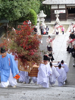 DSC08175.JPG