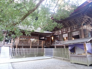 DSC08448.jpg