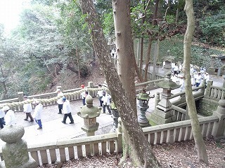 DSC08566.jpg