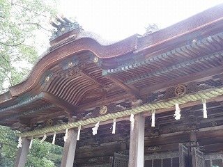 DSC08607.jpg