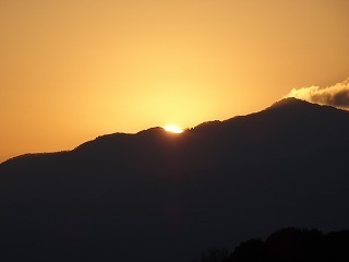DSC08696.jpg