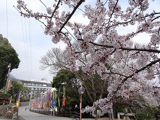DSC09375.jpg