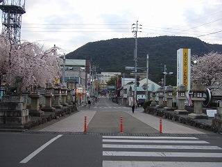 DSCF3731.jpg