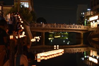 DSC_0802.JPG