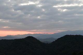 DSC_1008.JPG