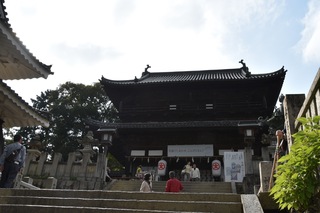 DSC_1404.jpg