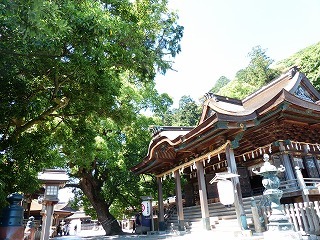 P1020002.jpg